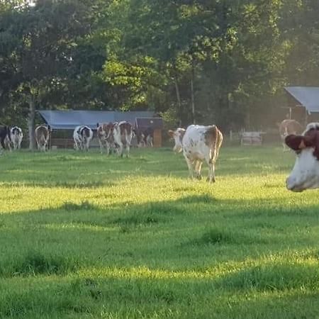 Hotel Glamping Des 2 Marguerites Bazoches-au-Houlme Zewnętrze zdjęcie